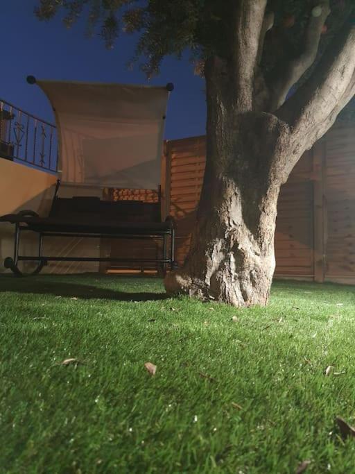 Superbe Appartement Avec Jacuzzi Et Exterieur Perpignan Exteriör bild
